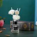 PARFUM DECO MAISON 1.webp