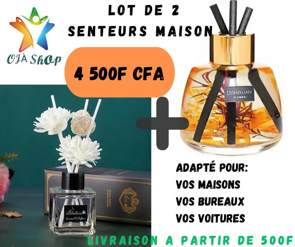 LOT DE 2 SENTEUR MAISON 